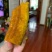 贵族南瓜，阿克苏贵族南瓜基地直发全国，专注品质。
