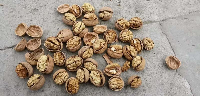 新疆和田薄皮核桃核桃仁，绿色食品每个人的选择！