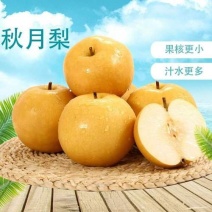200亩秋月梨种植基地，质优价廉，量大从优，欢迎前来选购