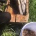 深山土蜂蜜热销中，正宗土蜂蜜