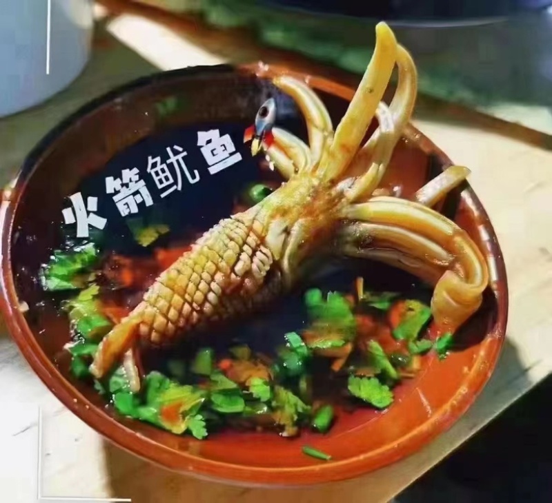 火箭鱿鱼捞汁火锅海鲜食材批发