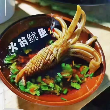 火箭鱿鱼捞汁火锅海鲜食材批发