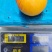 黄金蟠桃树苗，蟠桃新品种，毛蟠1号，厂家直销