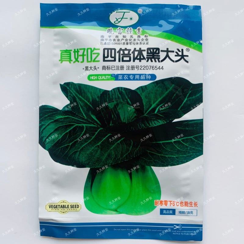 真好吃四倍体黑大头青菜种子耐寒春秋播农家苏州青矮脚青梗菜