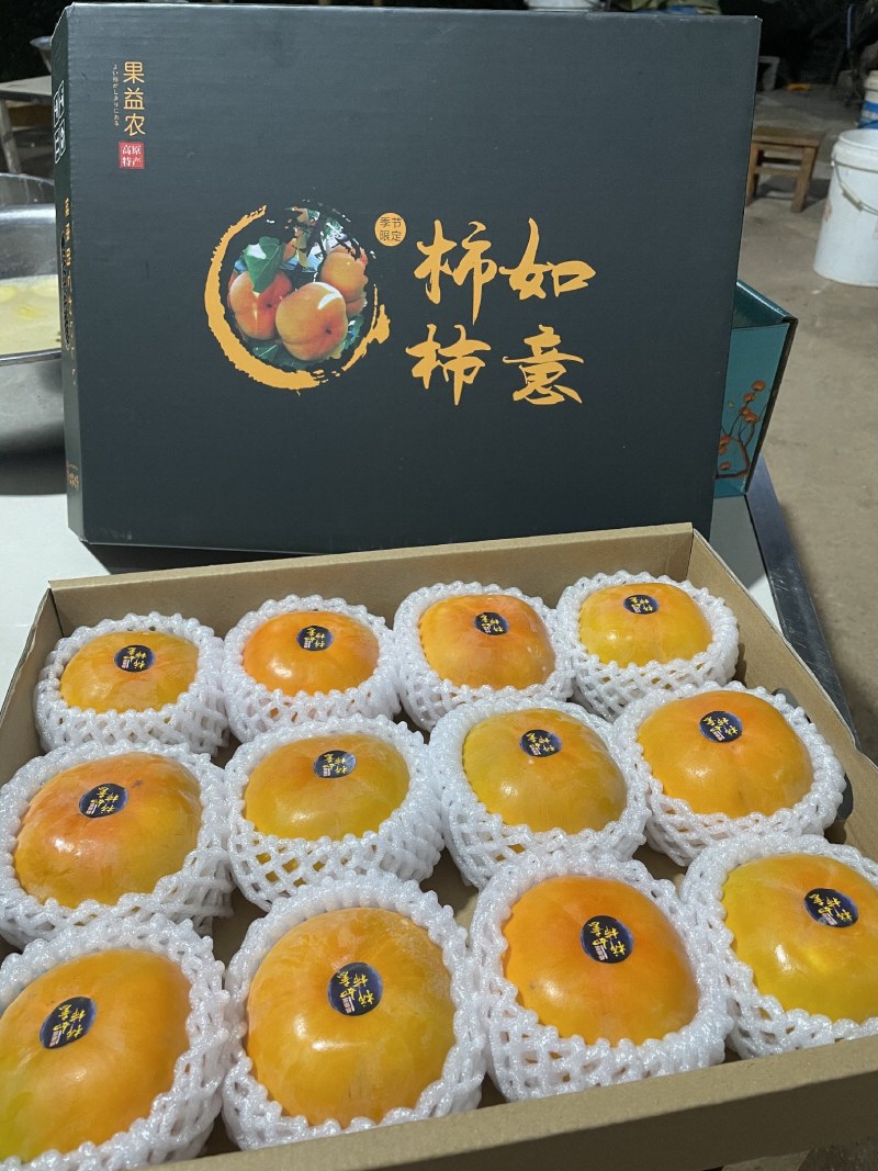 精品次郎脆柿