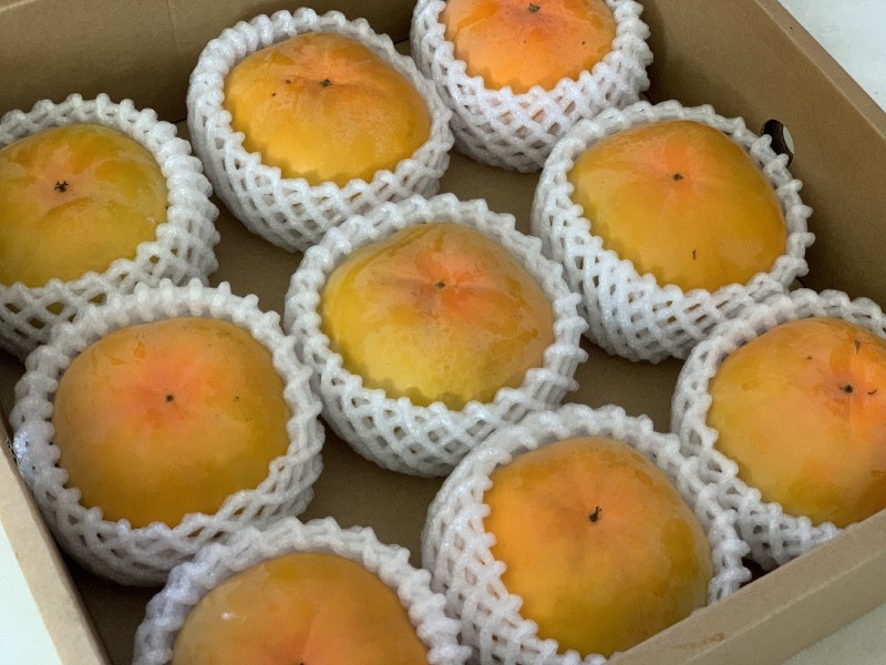 精品次郎脆柿
