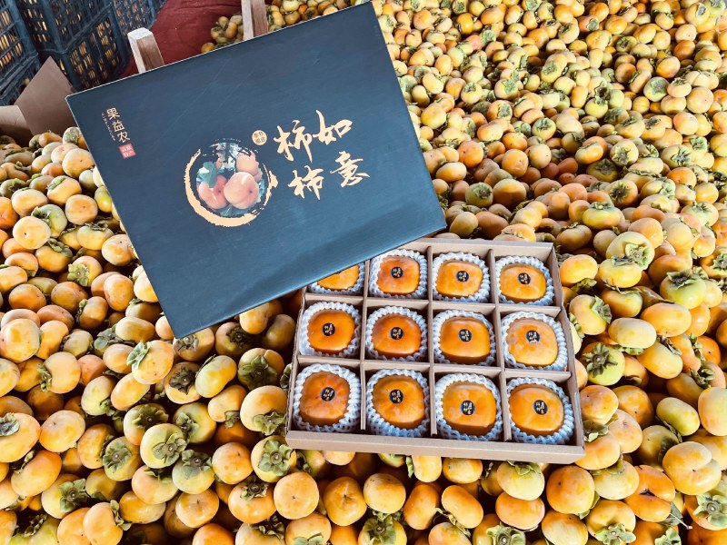 精品次郎脆柿