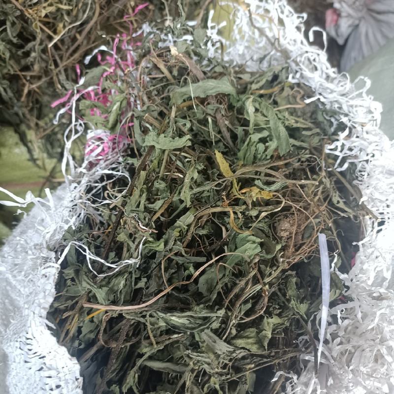 旱莲草片子:个子:批发一手货源药厂货产地直发