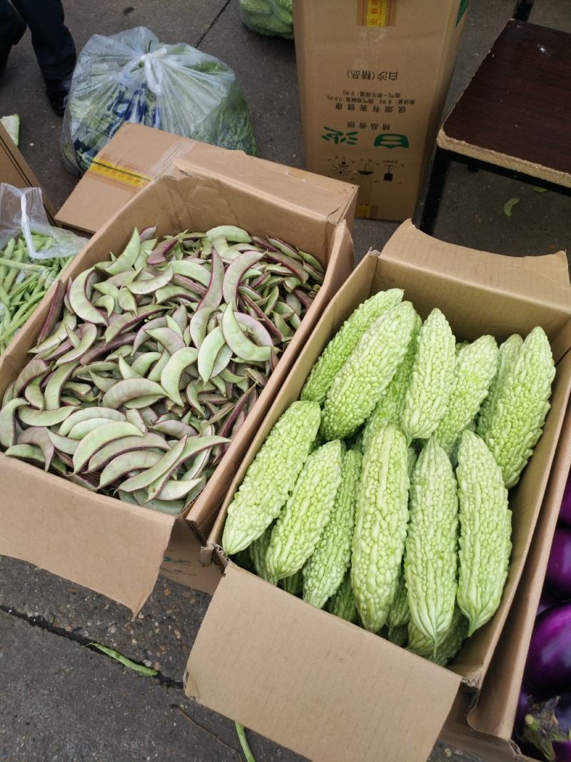 苦瓜白玉苦瓜浏阳特有的精品白玉苦瓜口感清纯