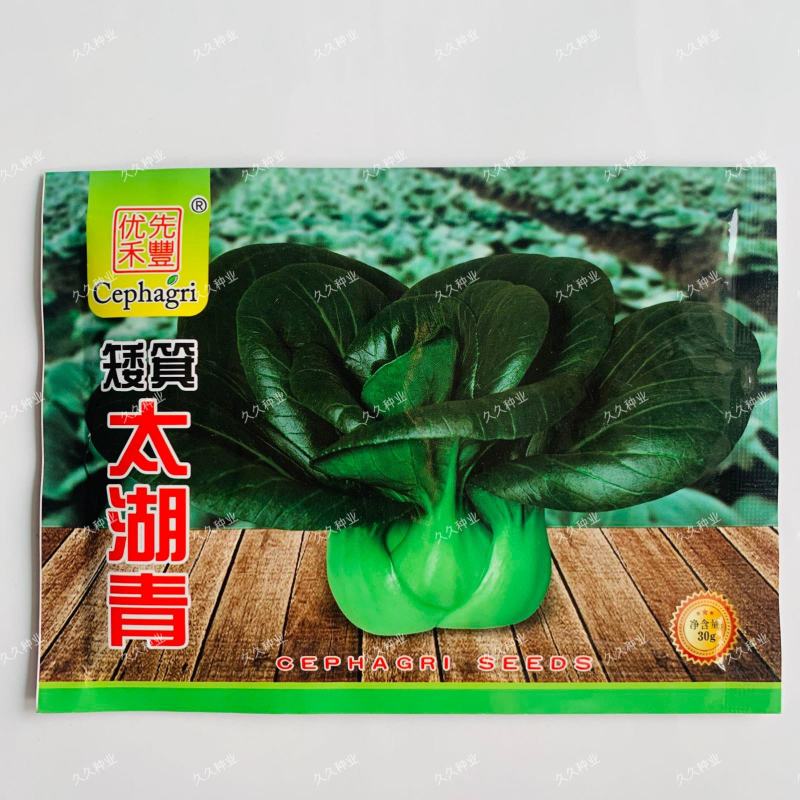 苏州青种子高产四季播盆栽太湖黑菜种