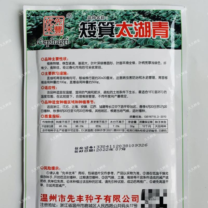 苏州青种子高产四季播盆栽太湖黑菜种