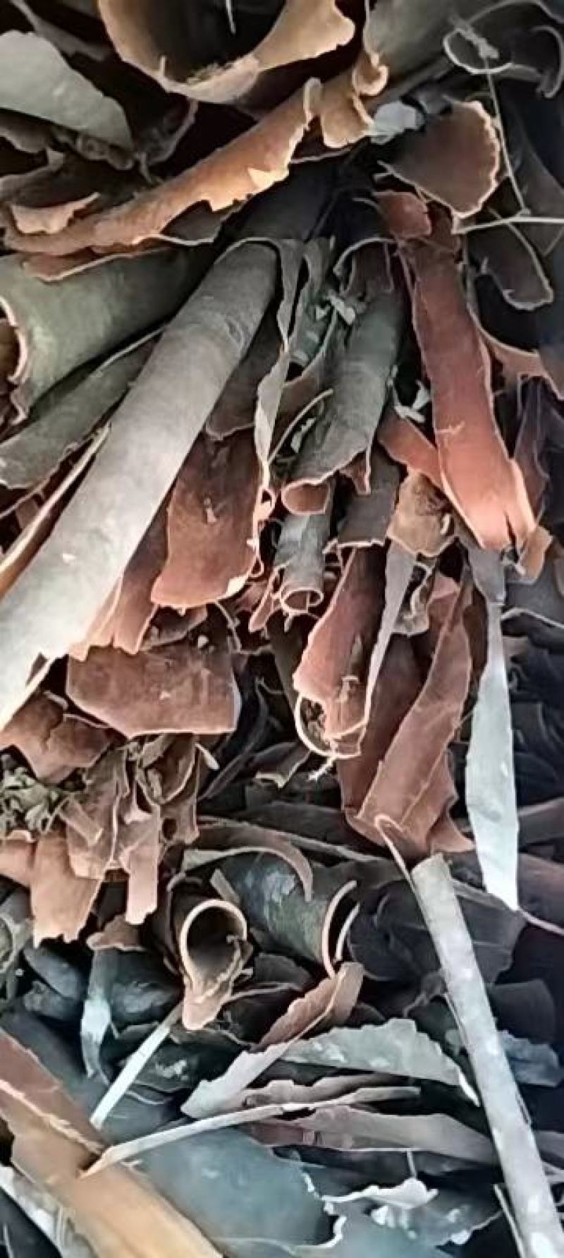 桂皮