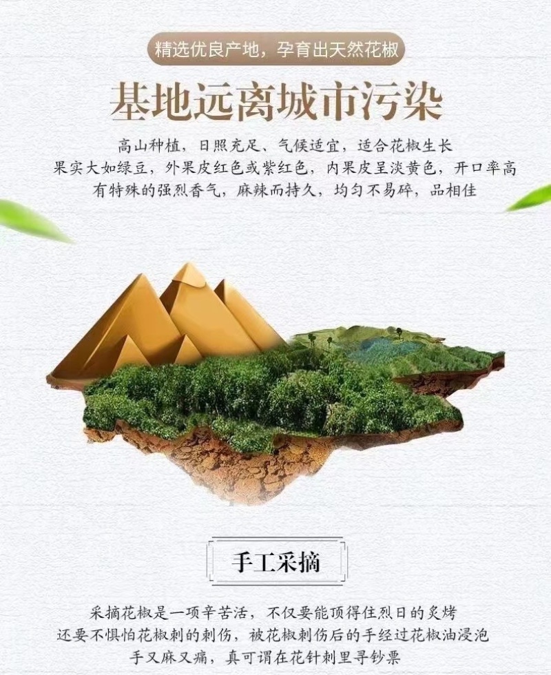 2022年特级花椒