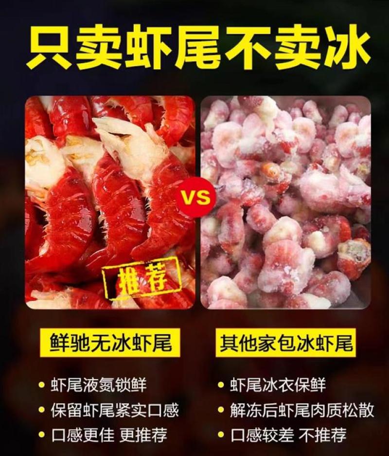 鲜活龙虾蒸煮现剥爆炒，芝士虾尾，虾尾炒面