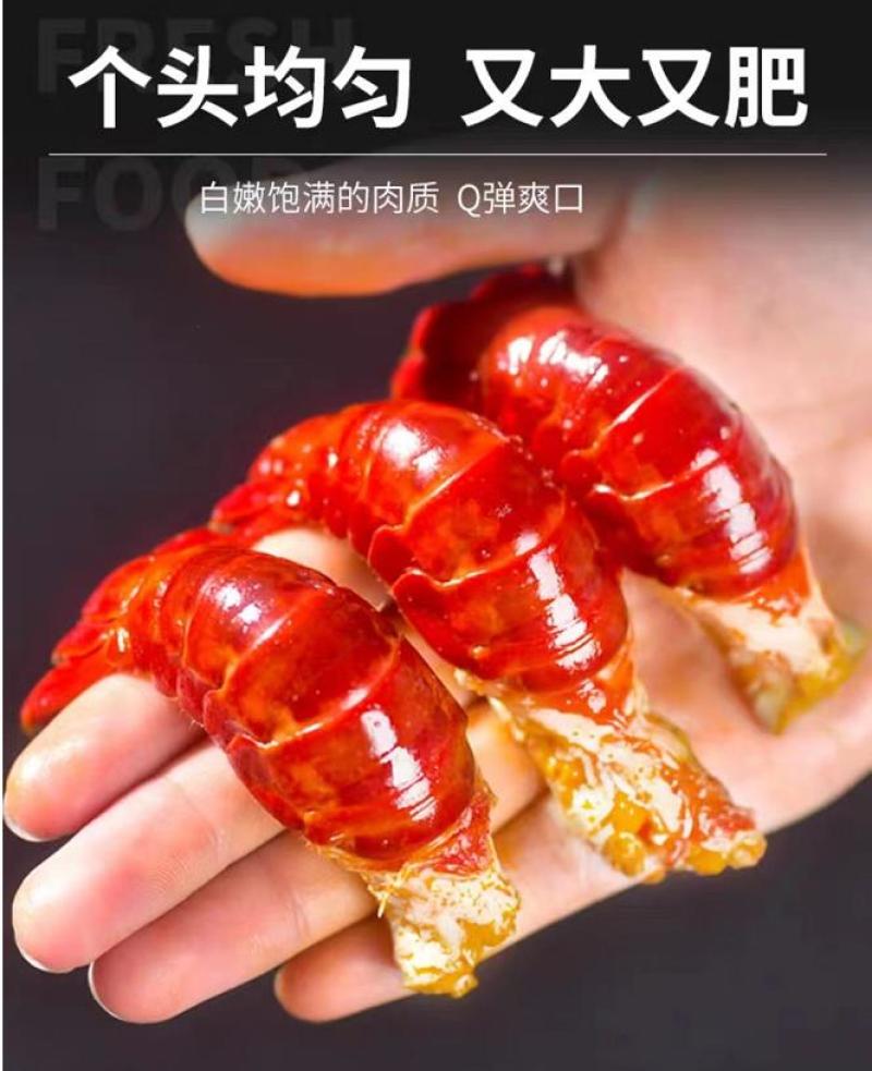 鲜活龙虾蒸煮现剥爆炒，芝士虾尾，虾尾炒面