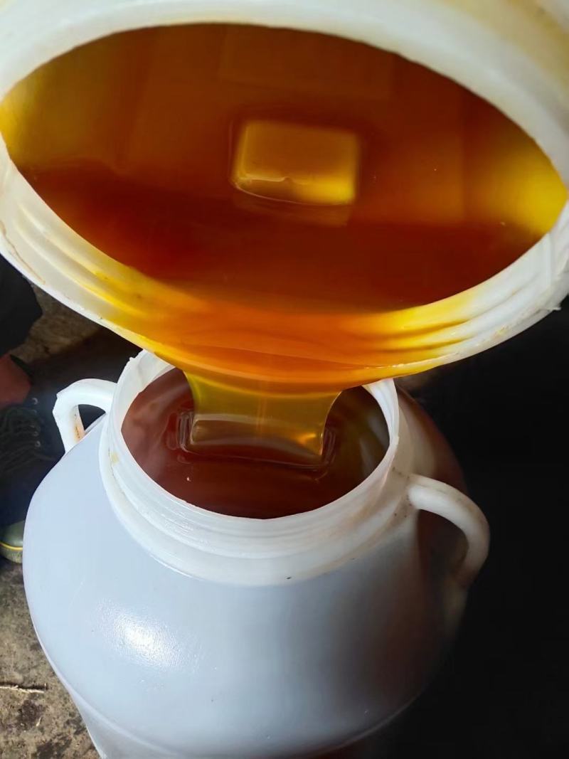 【甘肃】土蜂蜜一手货源充足，自然成熟一件代发，包邮价格