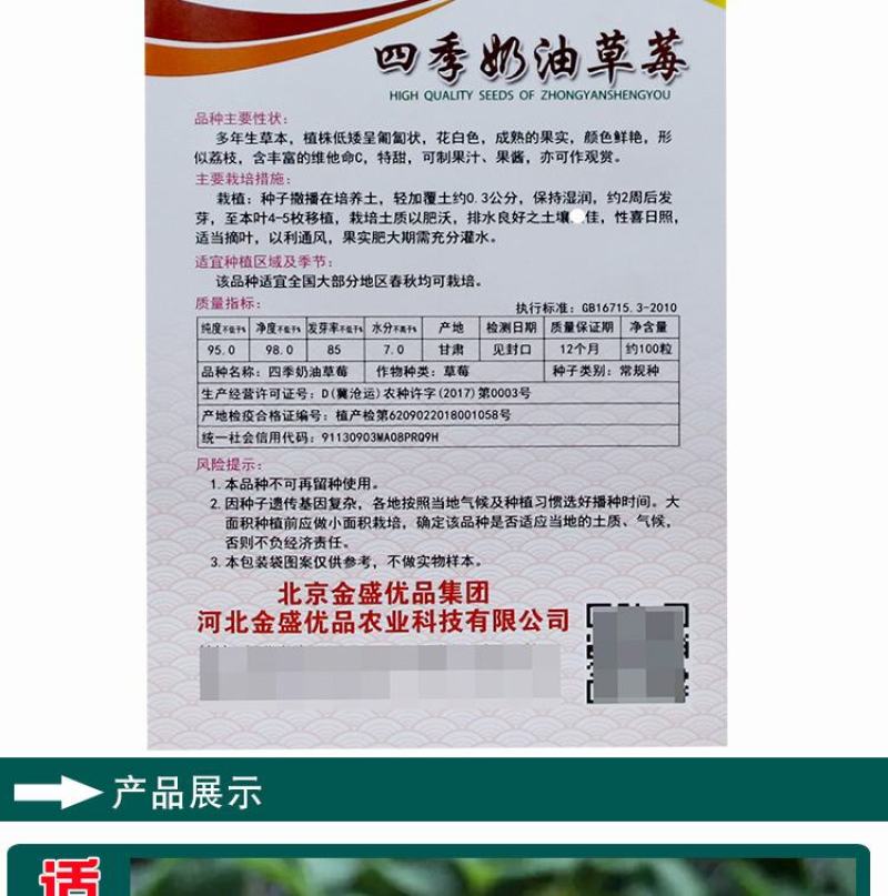 四季奶油草莓种子，100粒