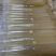 羊肚菌母种羊肚菌试管种一级种子高产菌种六妹品种七妹品种