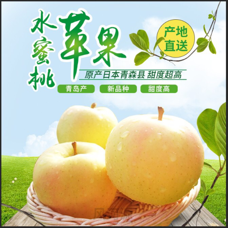 2023九月中旬青森水蜜桃苹果承接一件代发对接电商