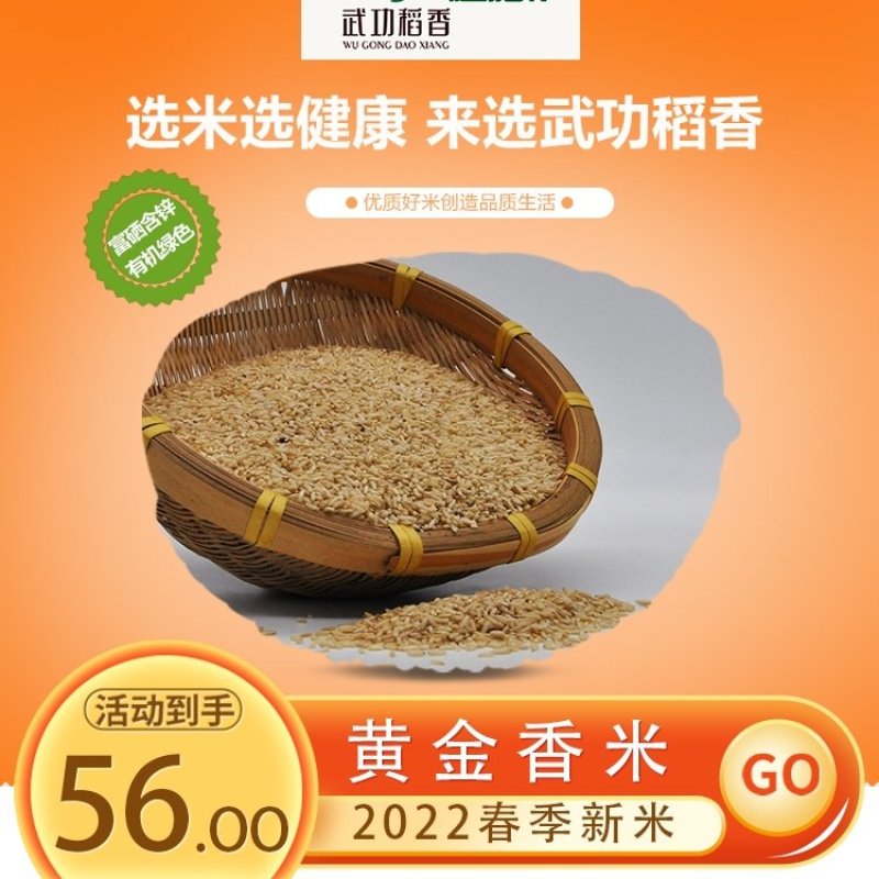 有机天然富硒黄金老年人大米当季新米，产地直供，一件代发
