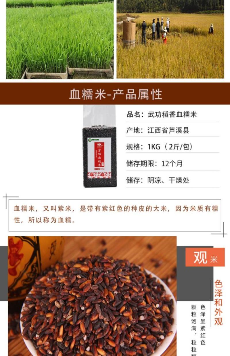 武功山正宗天然富硒血糯米新米营养饱腹代餐产地直供