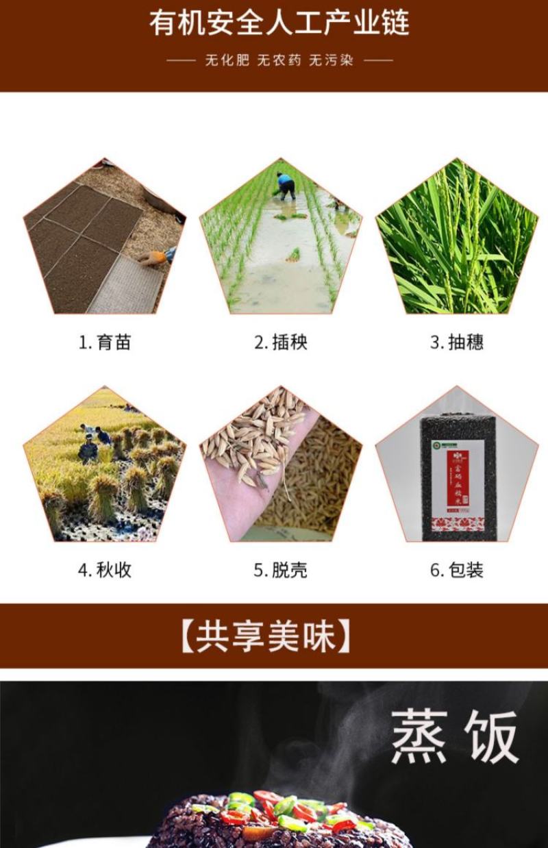 武功山正宗天然富硒血糯米新米营养饱腹代餐产地直供