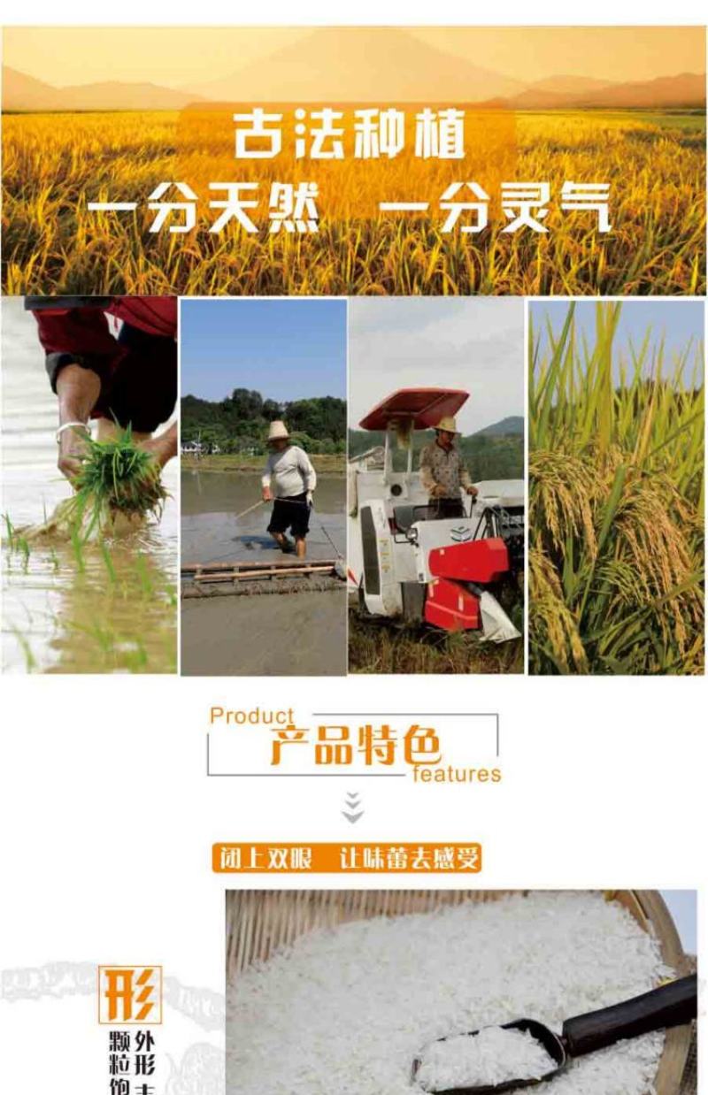 新用户试吃装，多买多送，便宜实惠，产地直供，一件代发