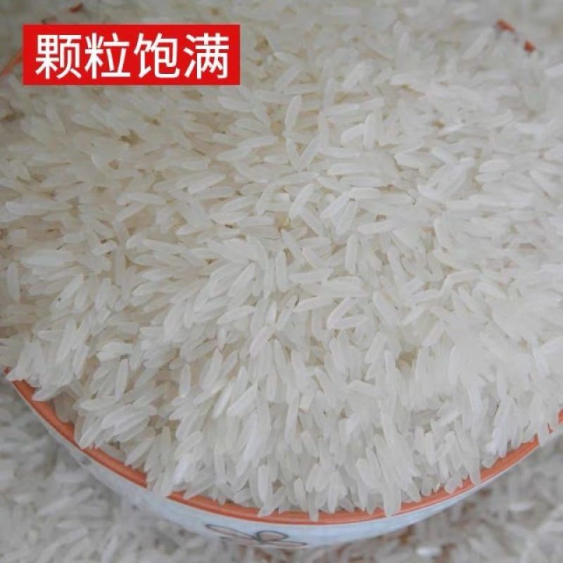 新用户试吃装，多买多送，便宜实惠，产地直供，一件代发