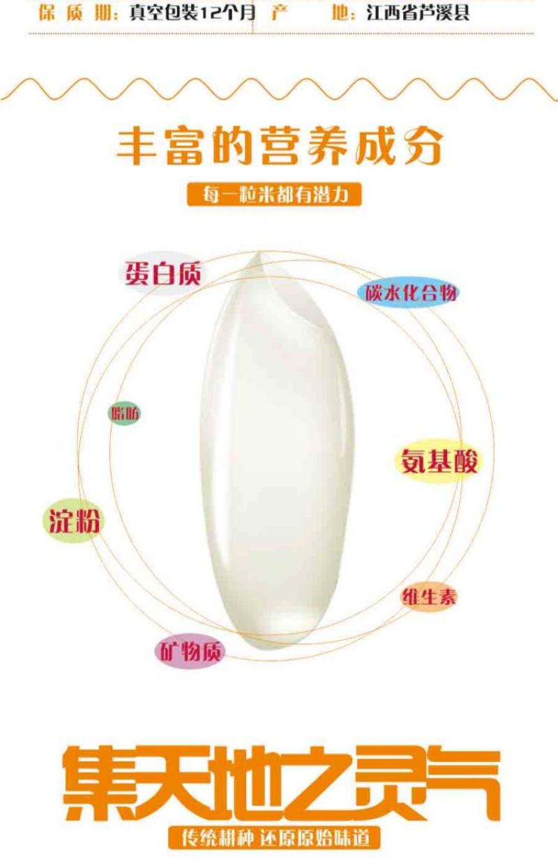 新用户试吃装，多买多送，便宜实惠，产地直供，一件代发