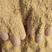 出各种规格稻壳粉喷浆壳粉除尘壳粉111111111
