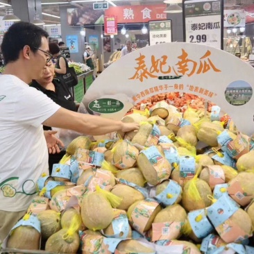 精品金香南瓜，金香南瓜口感面甜，甜度高。