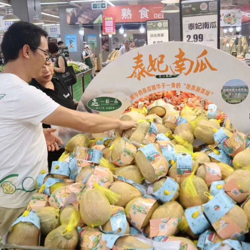 精品金香南瓜，金香南瓜口感面甜，甜度高。