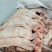 生的猪头肉新鲜去骨劈半猪脸肉，价格便宜一手货源。