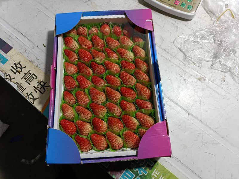 本人长年供应四季草莓烘焙专用草莓，奶茶专用草莓以糖糊芦。