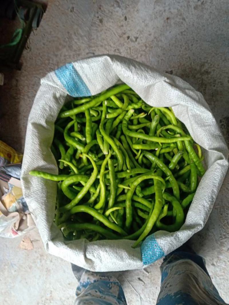 去把青线椒