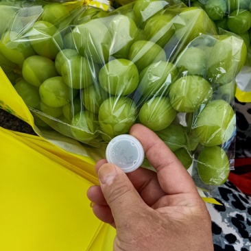 精品阳光玫瑰