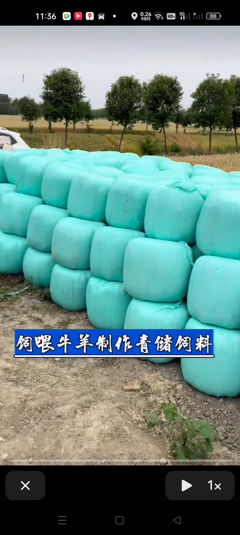 玉米秸秆打包黄储