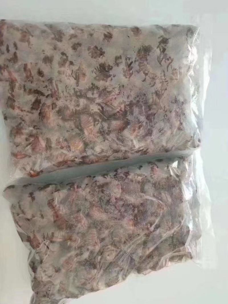 袋装杜仲小金蝉批发一袋两百个，对接微商团购。