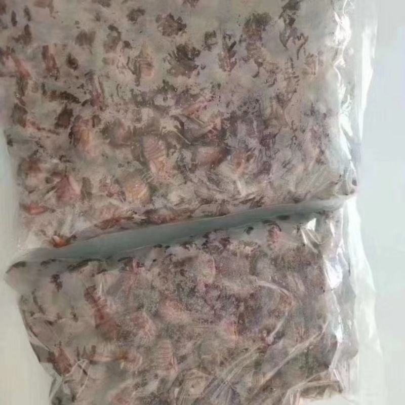袋装杜仲小金蝉批发一袋两百个，对接微商团购。