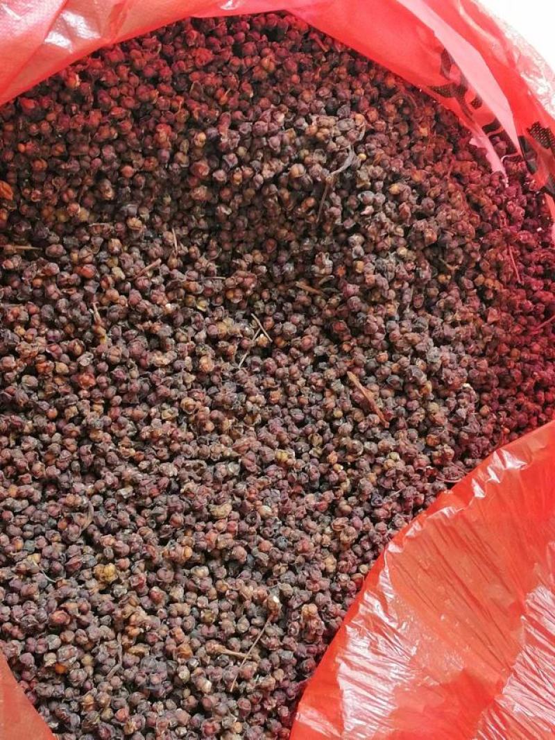 河南卢氏五味子