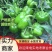 【诚信经营】内黄菜椒10cm以上中厚皮颜色黄亮价格低