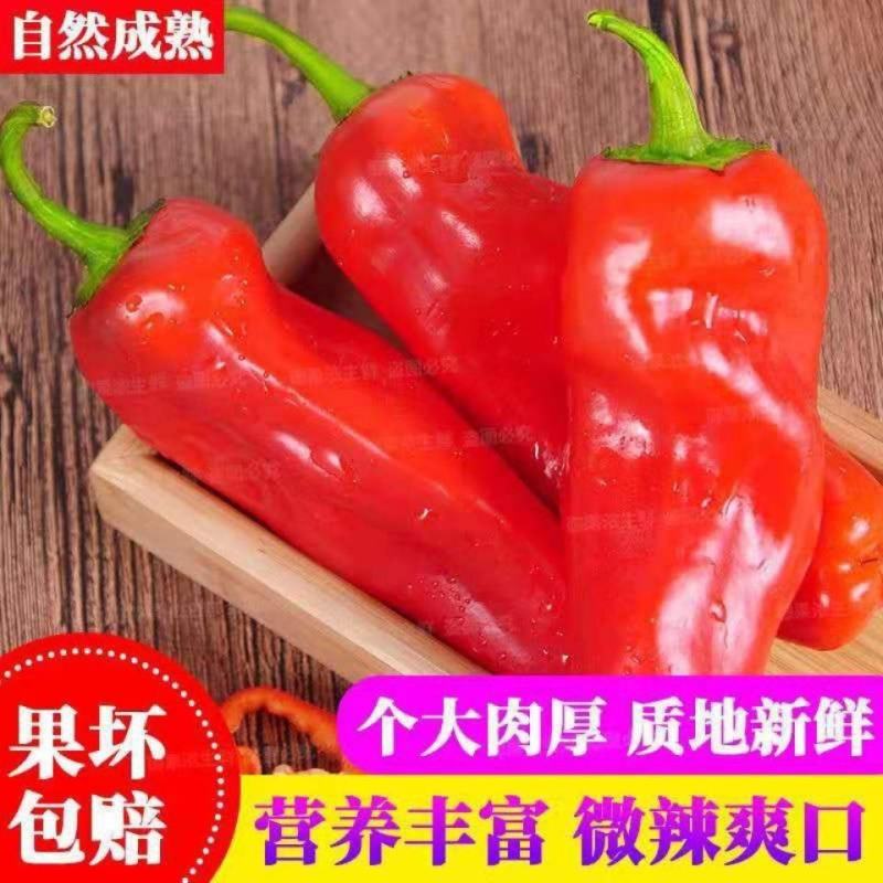 红泡椒红辣椒红杠椒大红袍红尖椒红线椒看货论价