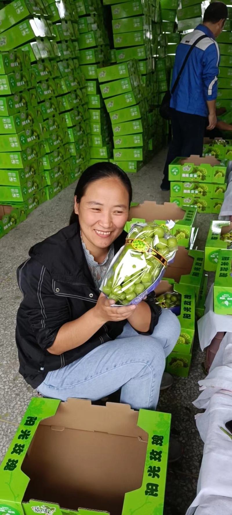 陕西大荔阳光玫瑰大量上市一手货源质量保证对接全国商超