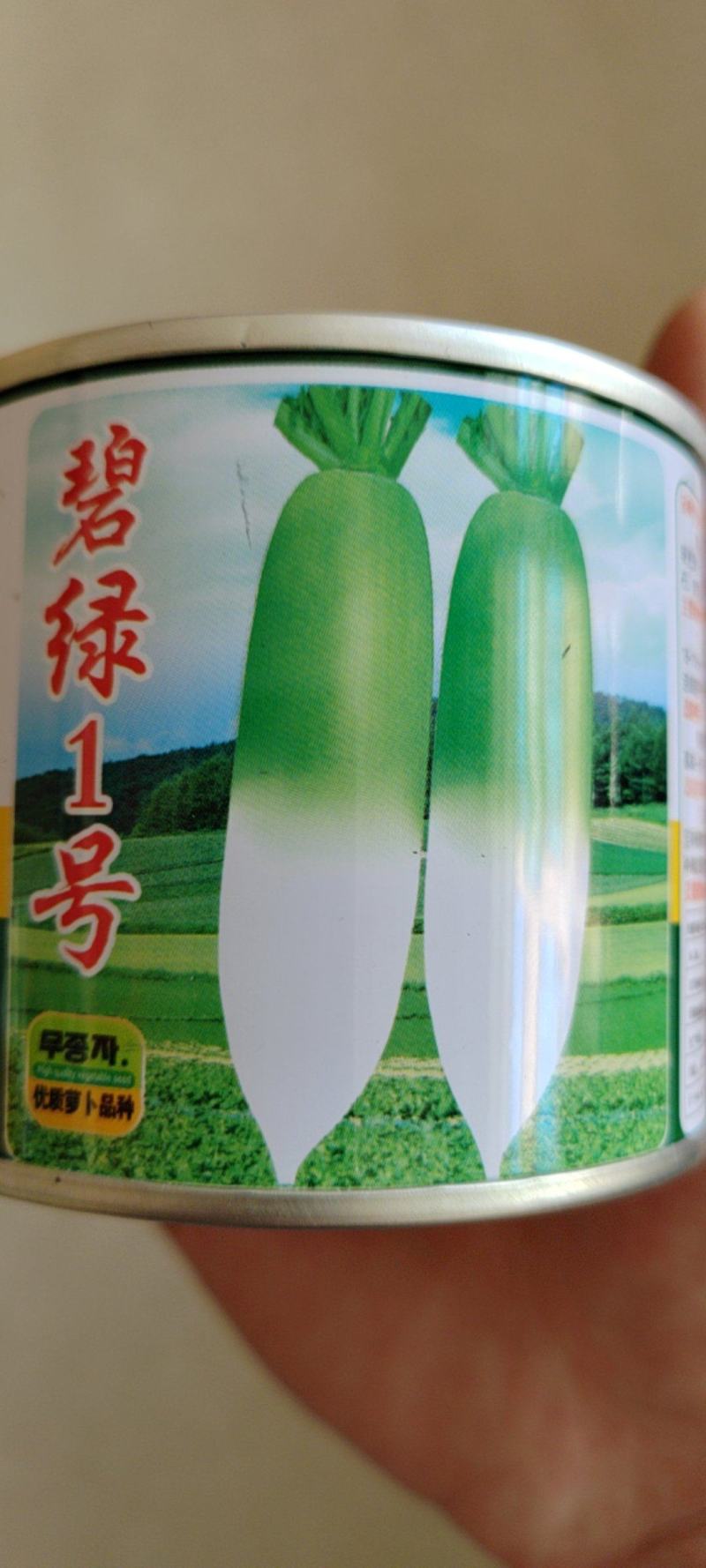 杂交青头萝卜种子青首萝卜种子口感好耐空心