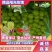 陕西葡萄大荔精品阳光玫瑰大量有货，产地直供量大从优
