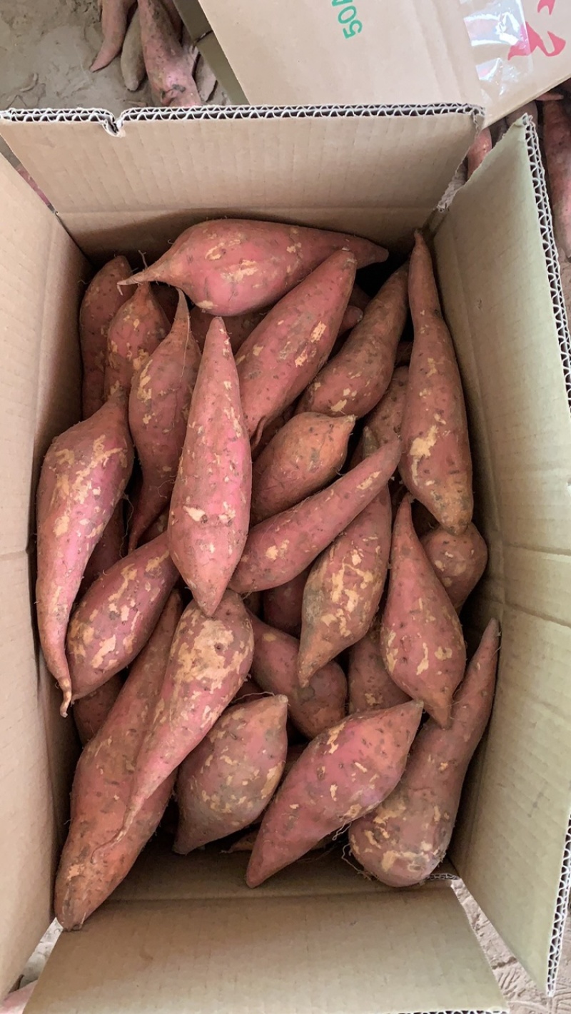 西瓜红。电商货。市场货大量供应。价格优惠