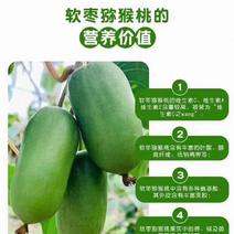 丹东软枣猕猴桃鲜果龙城2号奇异莓应季新鲜绿心奇异果新品种