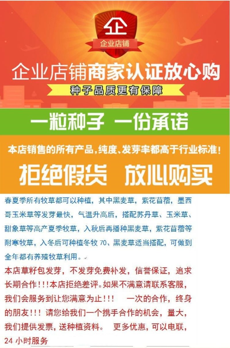 紫花苜蓿种子猪牛羊兔鸡鸭鹅多年生四季养殖牧草苜蓿草籽鱼草