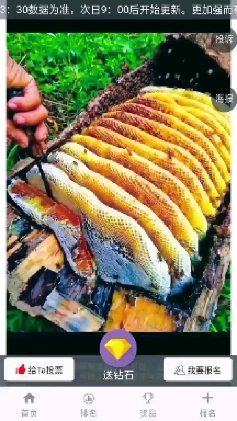 正宗大山深处的土蜂蜜，一年只取一次的，欢迎大家前来选购