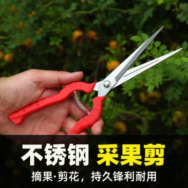 园艺修剪枝采果剪摘果剪花椒剪枸杞采摘工具果蔬剪刀花剪